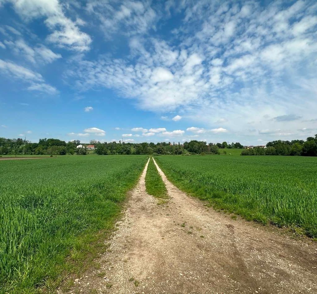 Zuweg zum Grundstück!