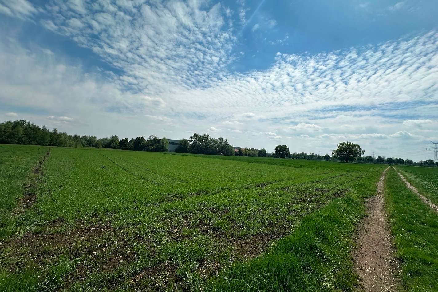 Blick auf das Grundstück