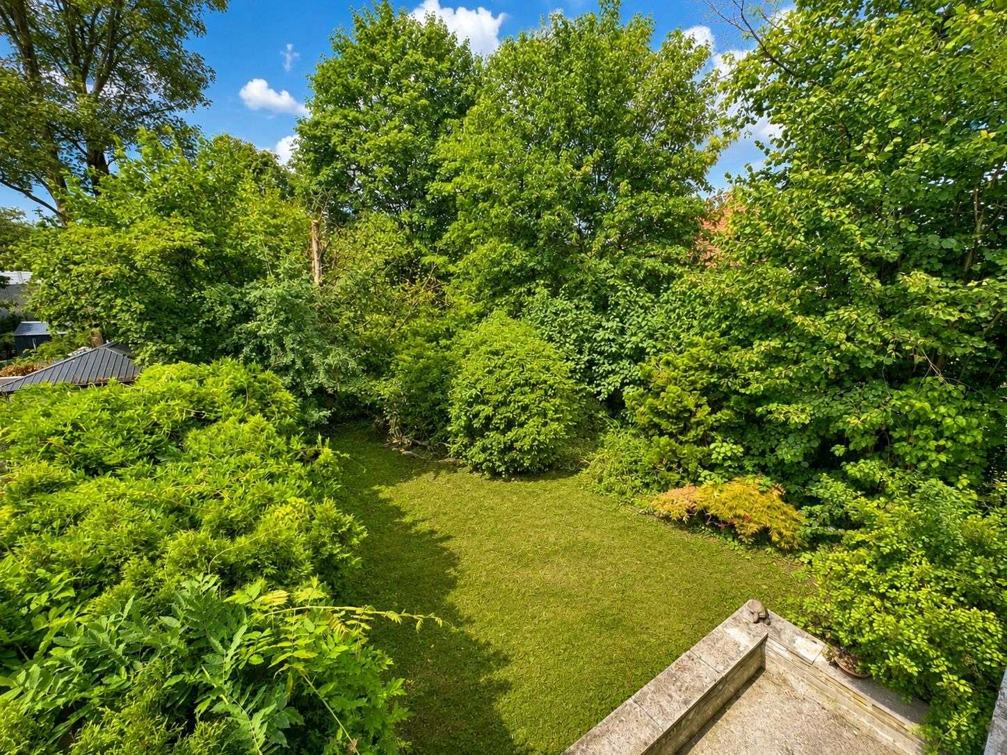 Blick in den Garten
